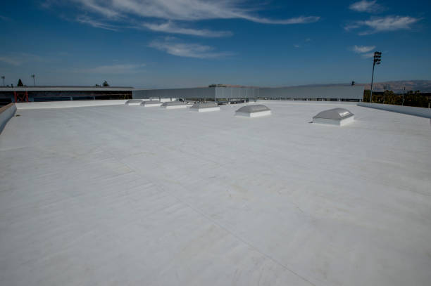 Best Steel Roofing  in Linglestown, PA