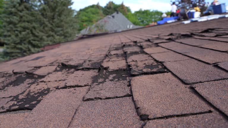 Best Steel Roofing  in Linglestown, PA